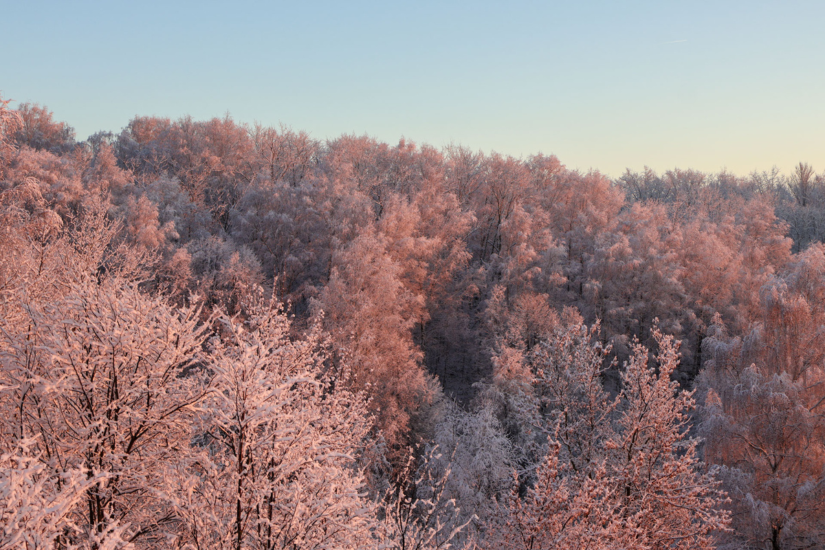 В Хабаровске ожидаются сильные морозы.  Фото: Фото: ФедералПресс / Вера Романескул