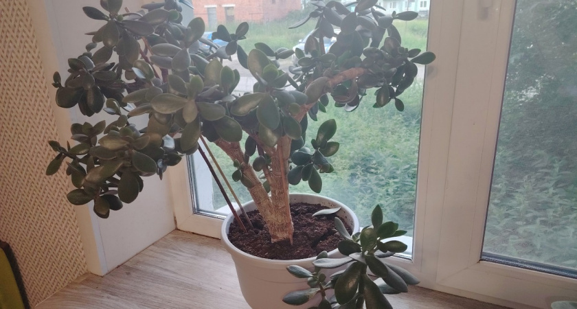    фото из архива редакции