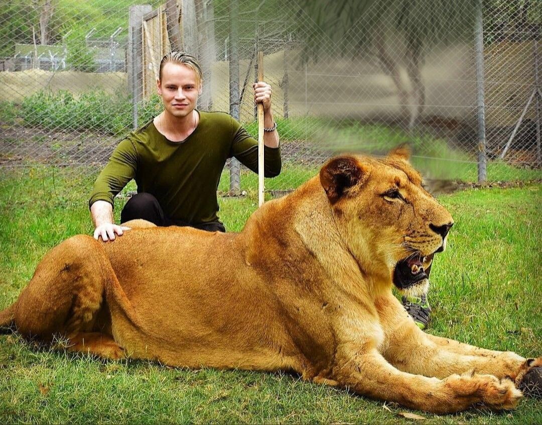 фото взяты с сайта Pinterest