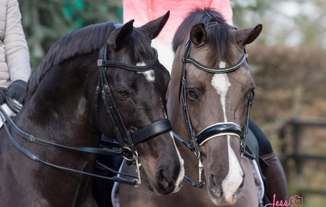 Утопия и Валегро
