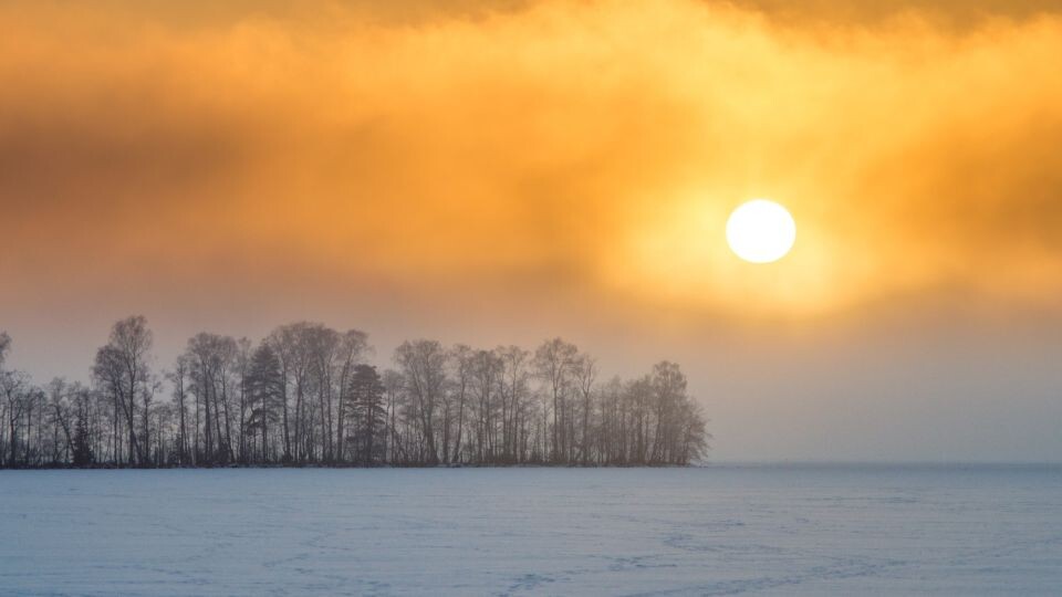    Зимнее солнце. Источник: unsplash.com