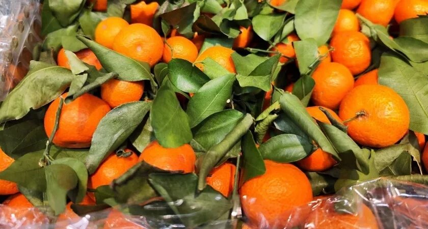    Фото usolie.info