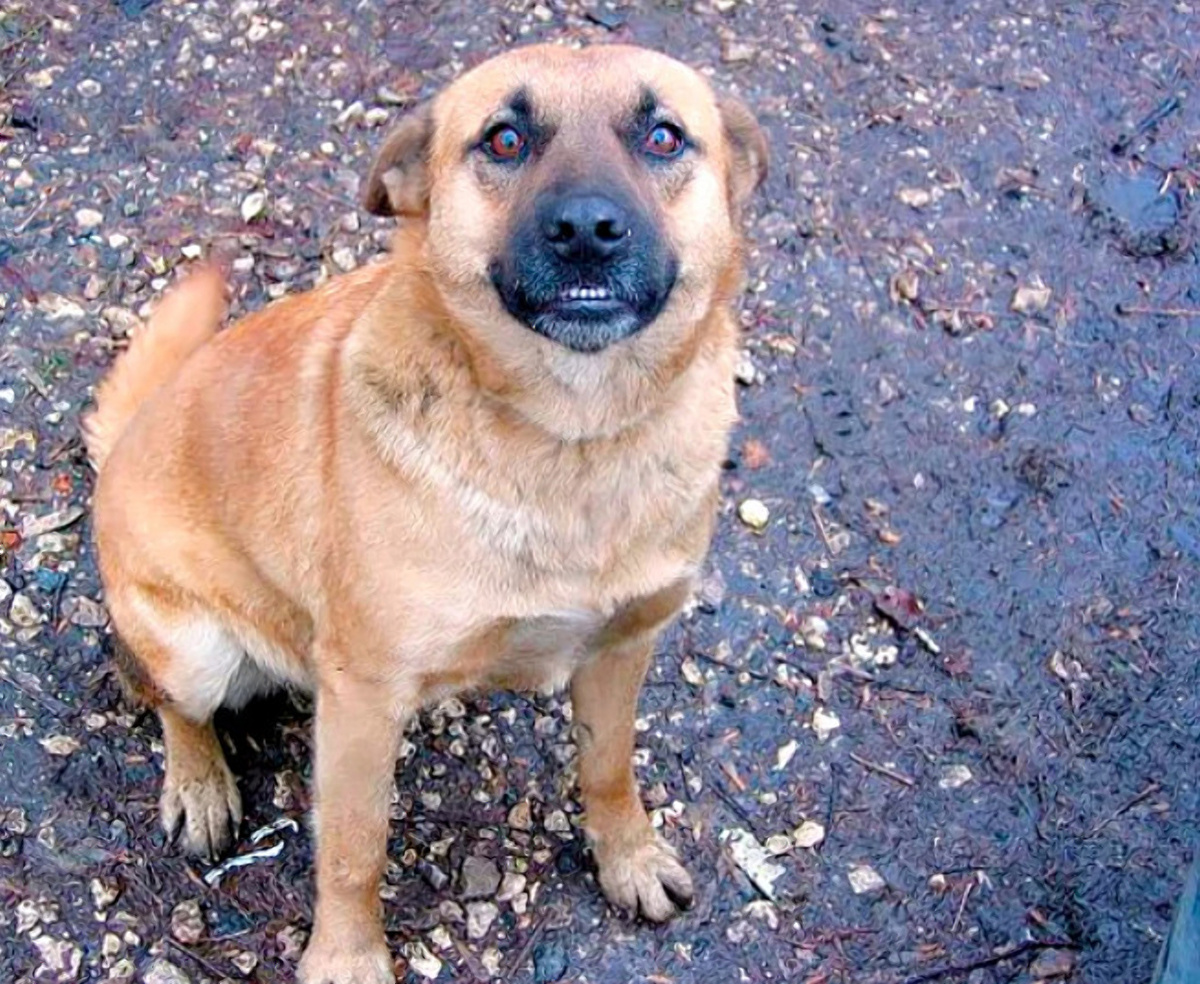 Фото из открытого источника Яндекс 