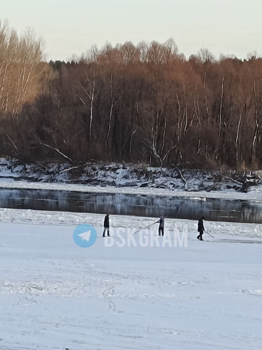    Дети на Бие. Источник: "Бийск 22"