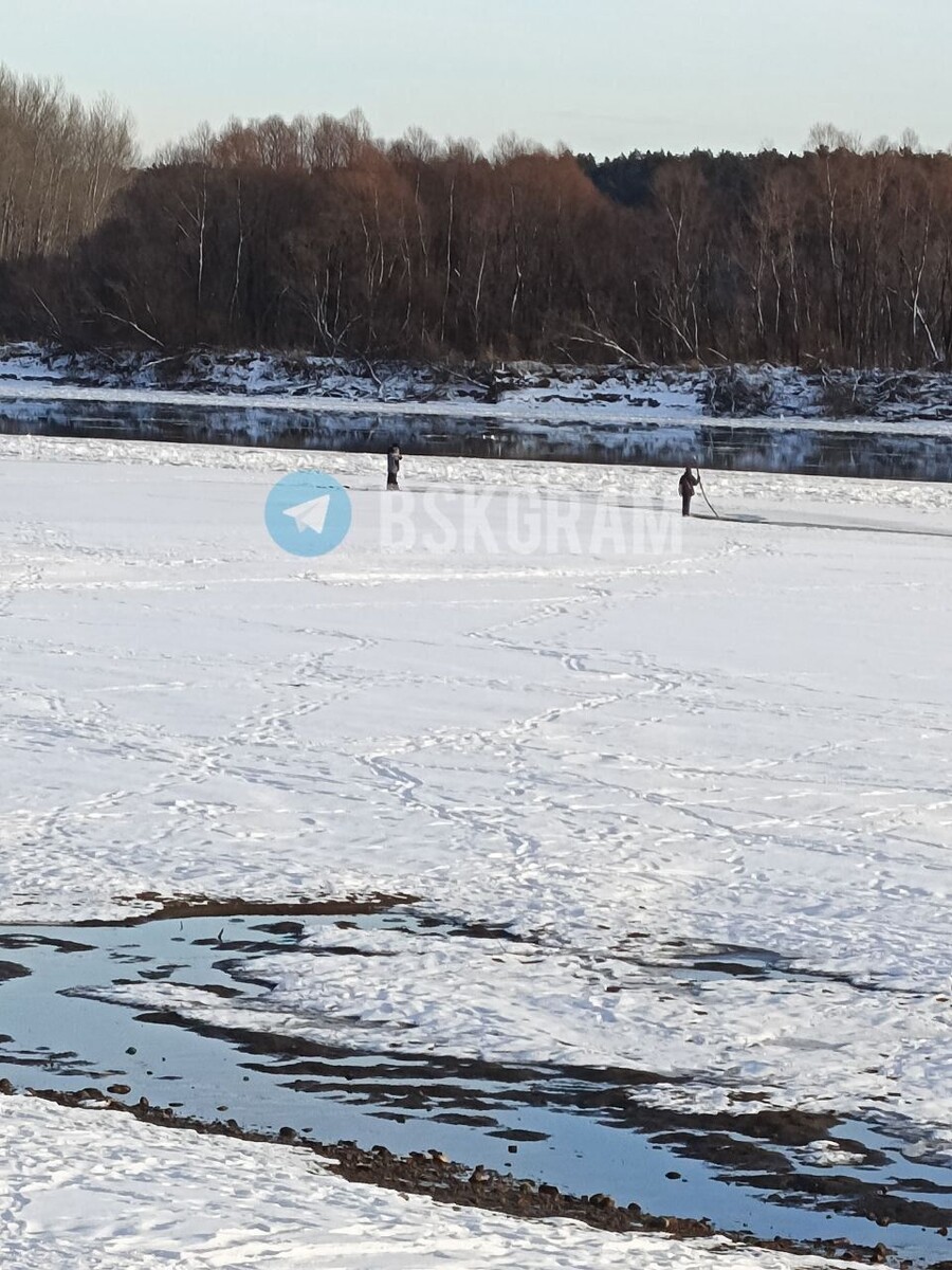    Дети на Бие. Источник: "Бийск 22"