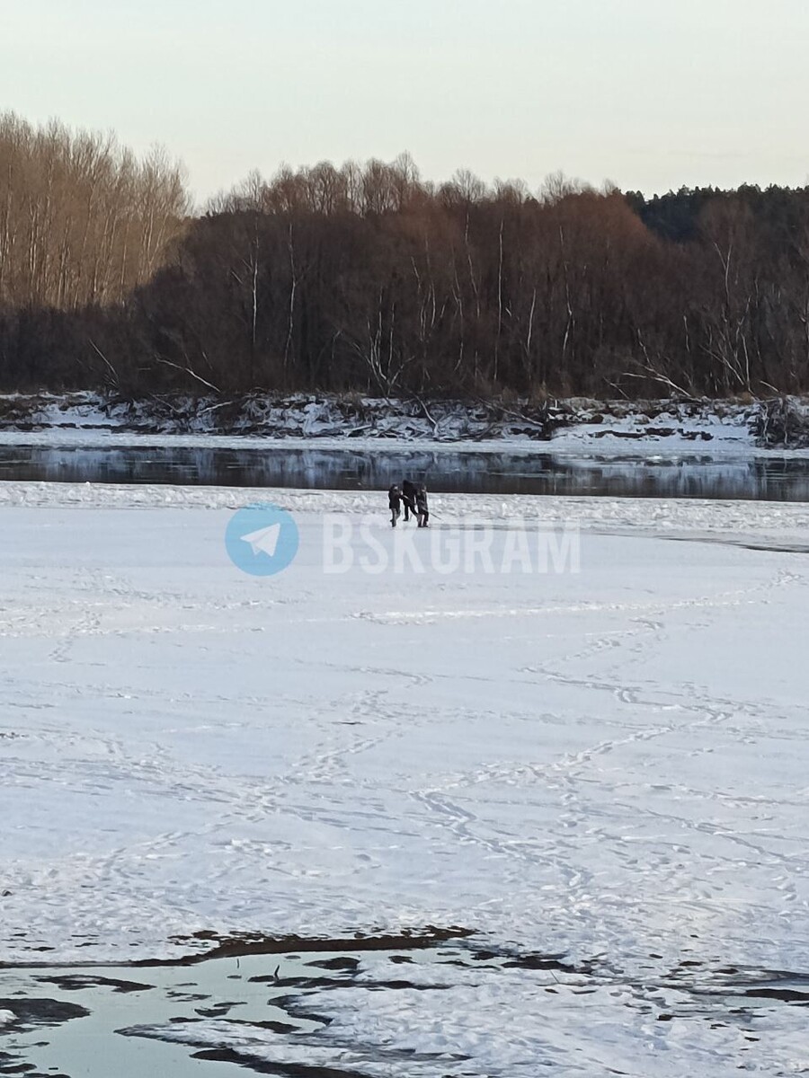    Дети на Бие. Источник: "Бийск 22"