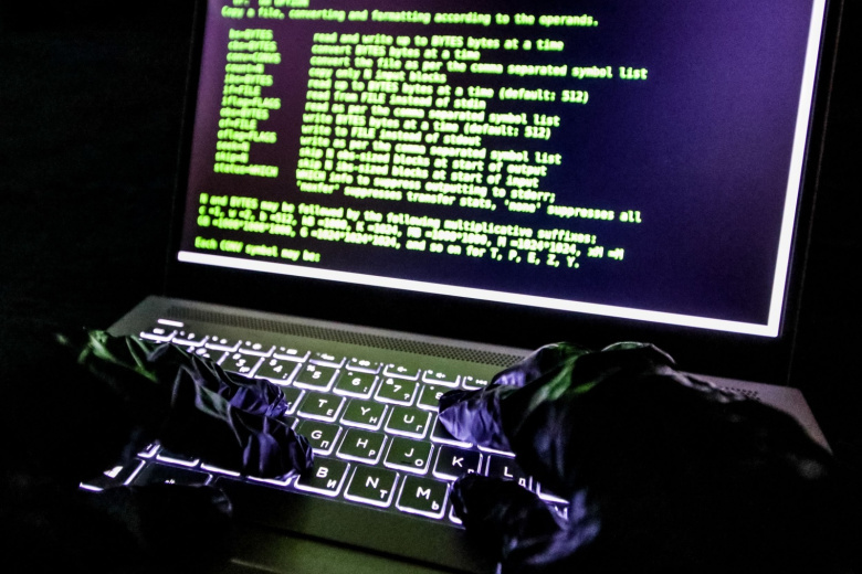    Сергей Лантюхов/NEWS.ru