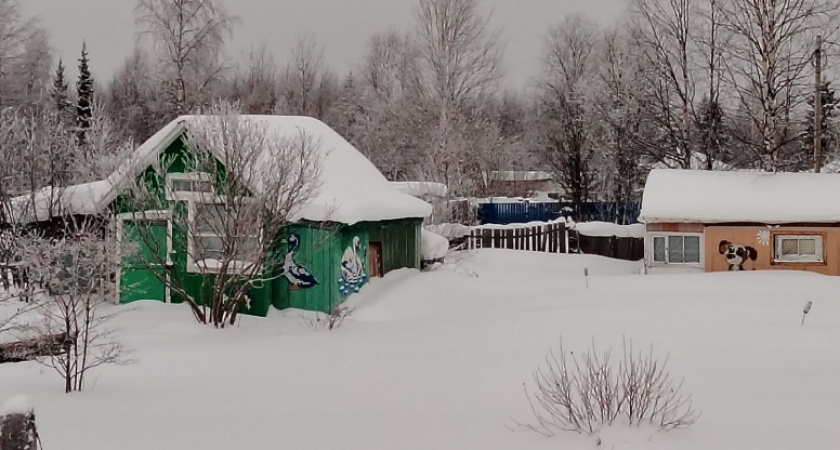    фото из архива редакции