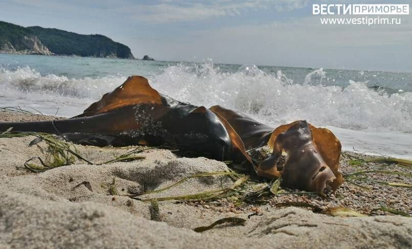    Источник фото: