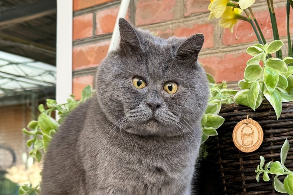    Мемный Федя из города Сальска Ростовской области взрывает соцсети своей вечно удивленной физиономией. Фото: vk.com/fedja_gruppa