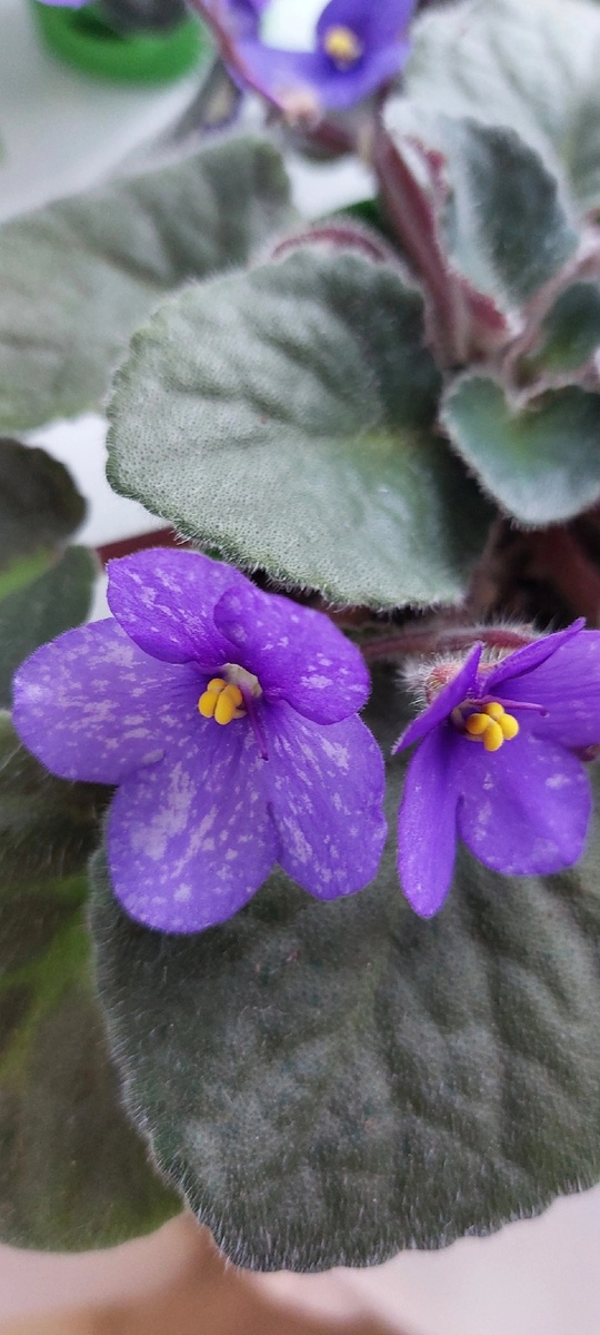 Фото из свободных источников