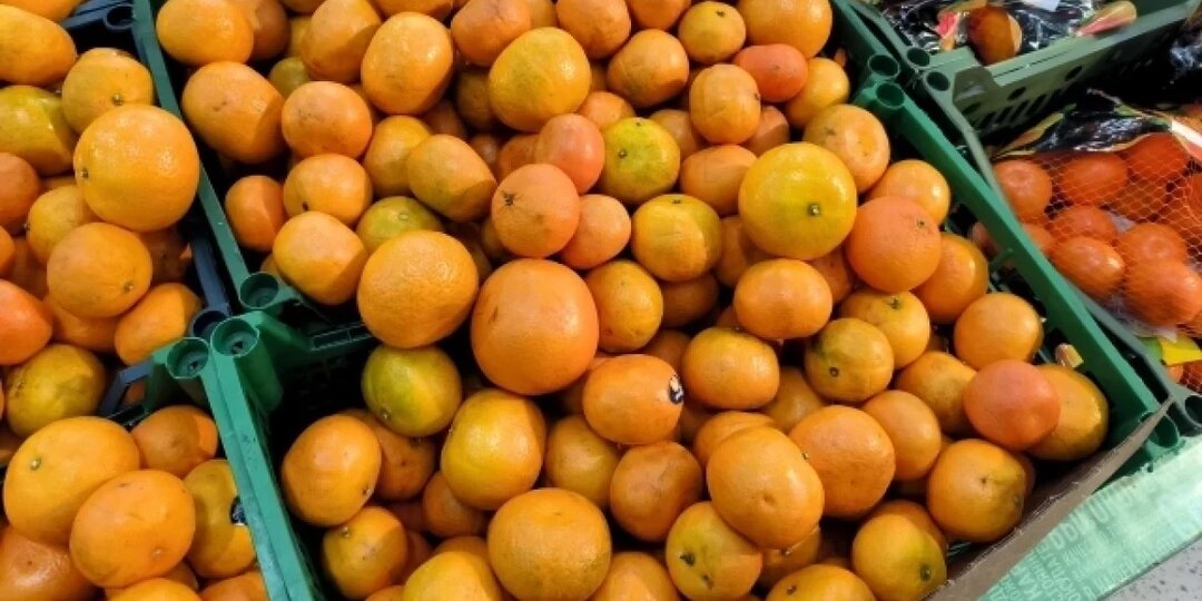Мандарины в Новосибирске перед Новым годом подешевели