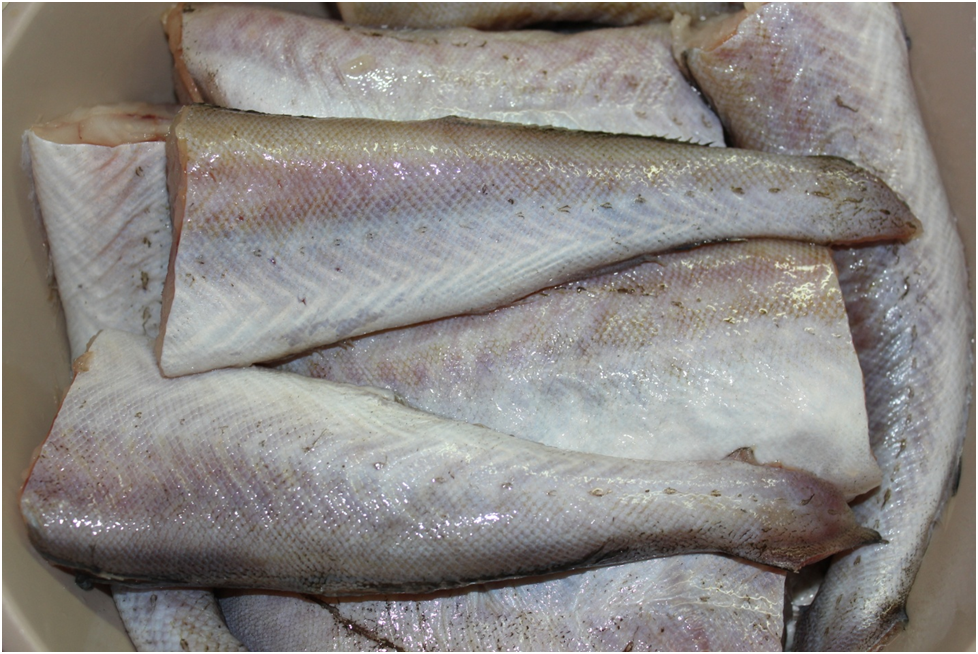 Личное фото автора.