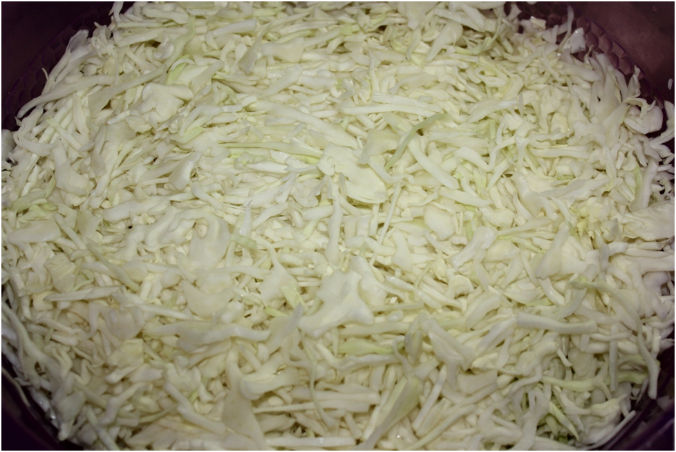 Личное фото автора.