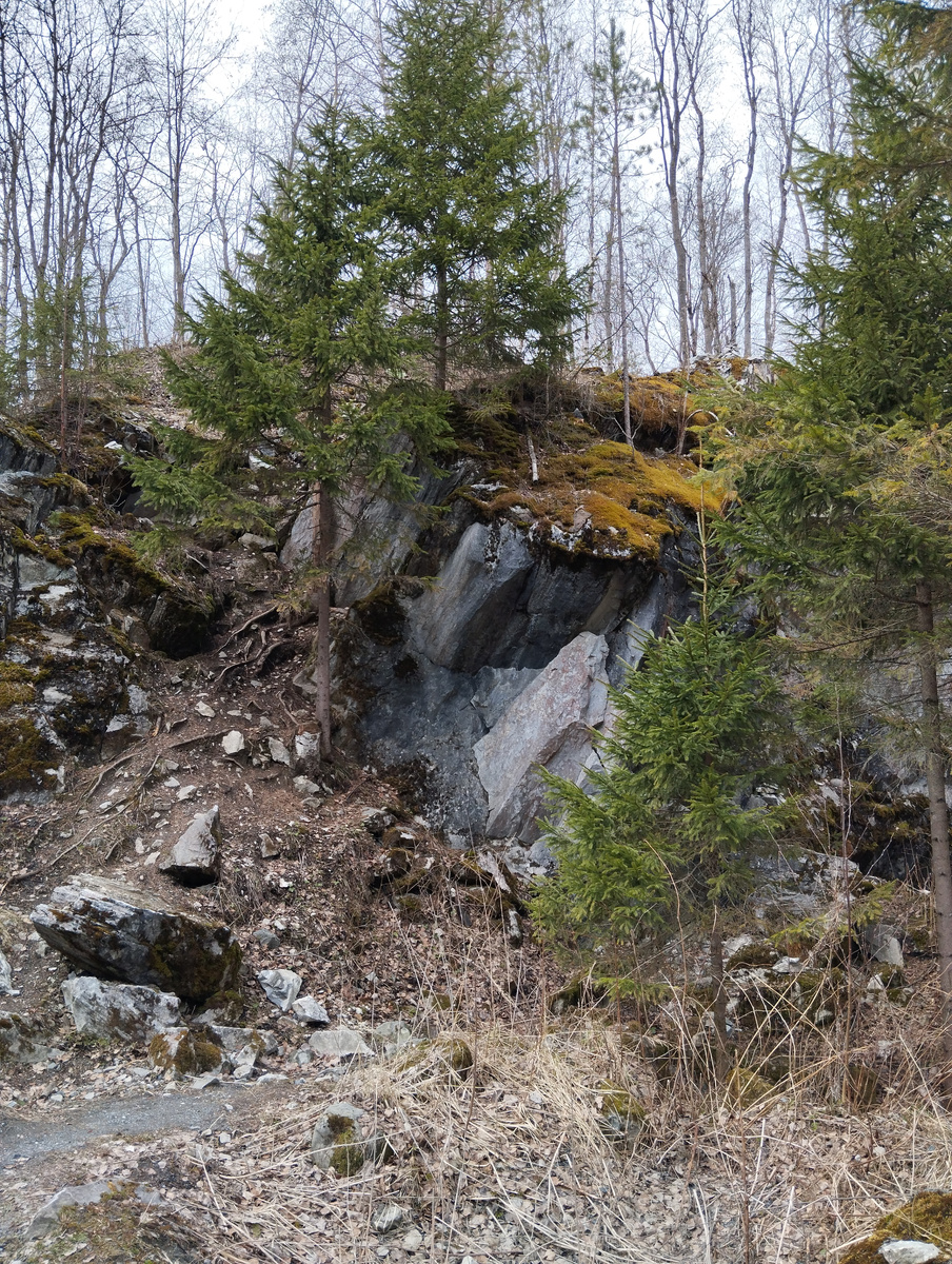 Карельский скальник