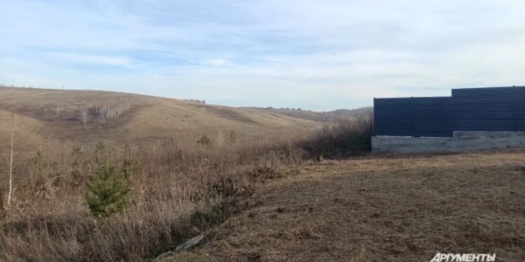 Бастрыкин потребовал доклад по делу убитого собаками мальчика в Красноярске. Собак-убийц ловят плохо. Нужны жесткие меры!