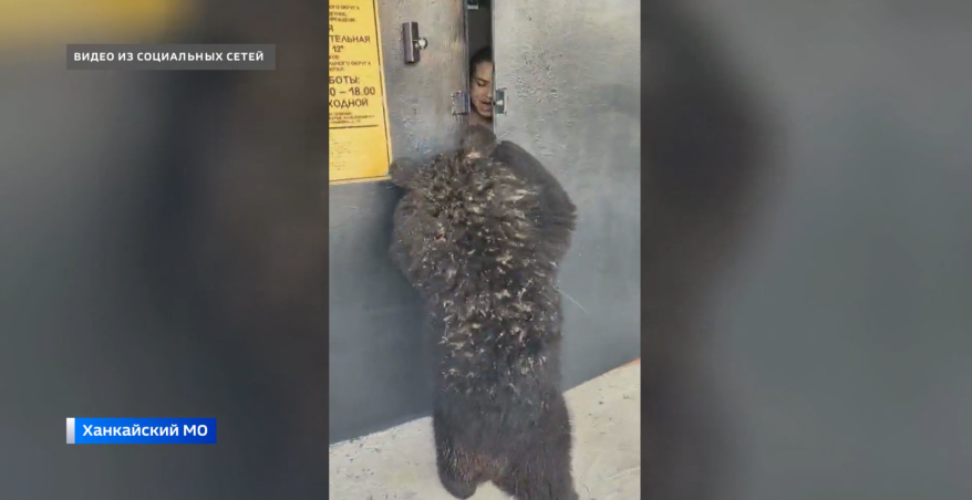    Источник фото: