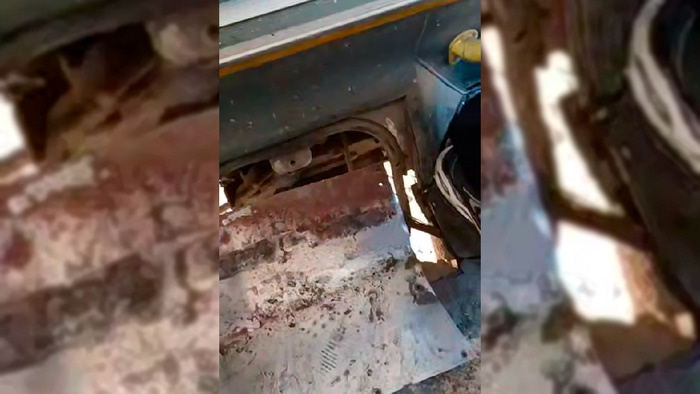    Фото: t.me/ghest_omska