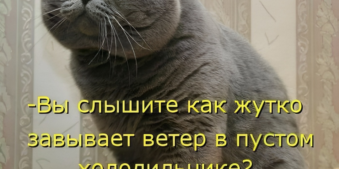 15 смешных картинок с надписями для поднятия настроения. Мне 7 лет! А это много или мало