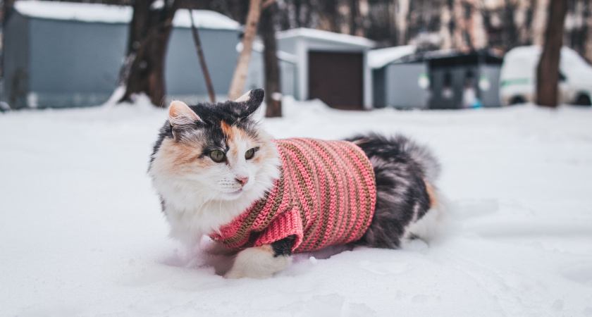    Изображение от wirestock на Freepik