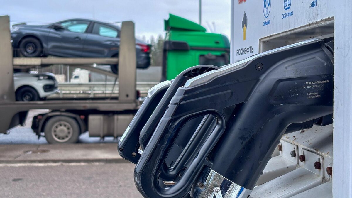    Фото: globallookpress.com/Belkin Alexey