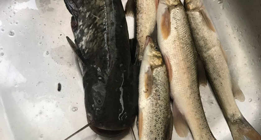    Фото irkutsk.news