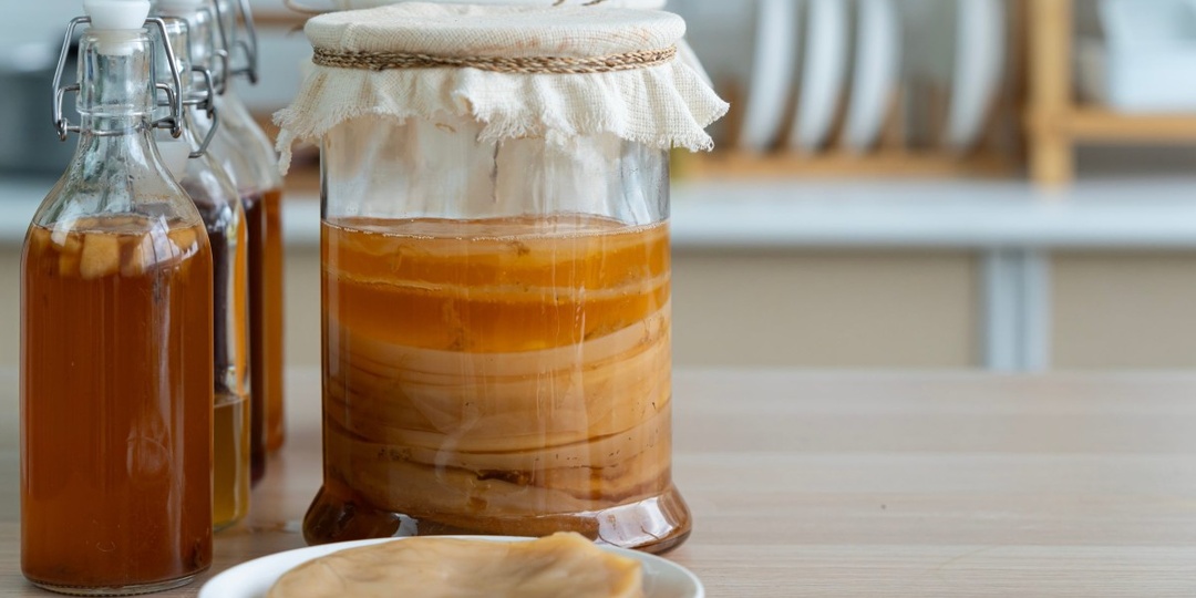 КАК ПРИГОТОВИТЬ НАСТОЯЩУЮ КОМБУЧУ ДОМА?