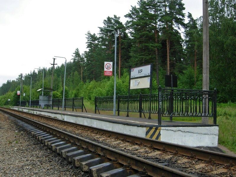 Платформа Бор. Фото Д. Веревкина, 9 июля 2012 г.