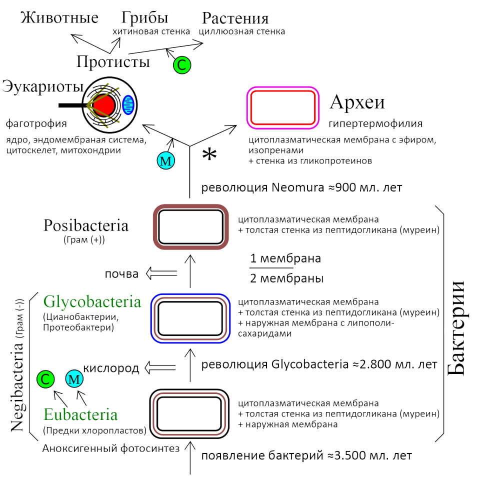 Полный цикл зарождения жизни на планете Земля