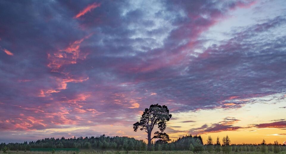    Sergey Metelitsa / www.globallookpress.com