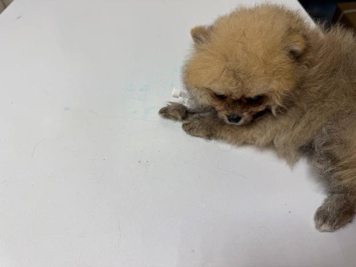    Фото Миланы