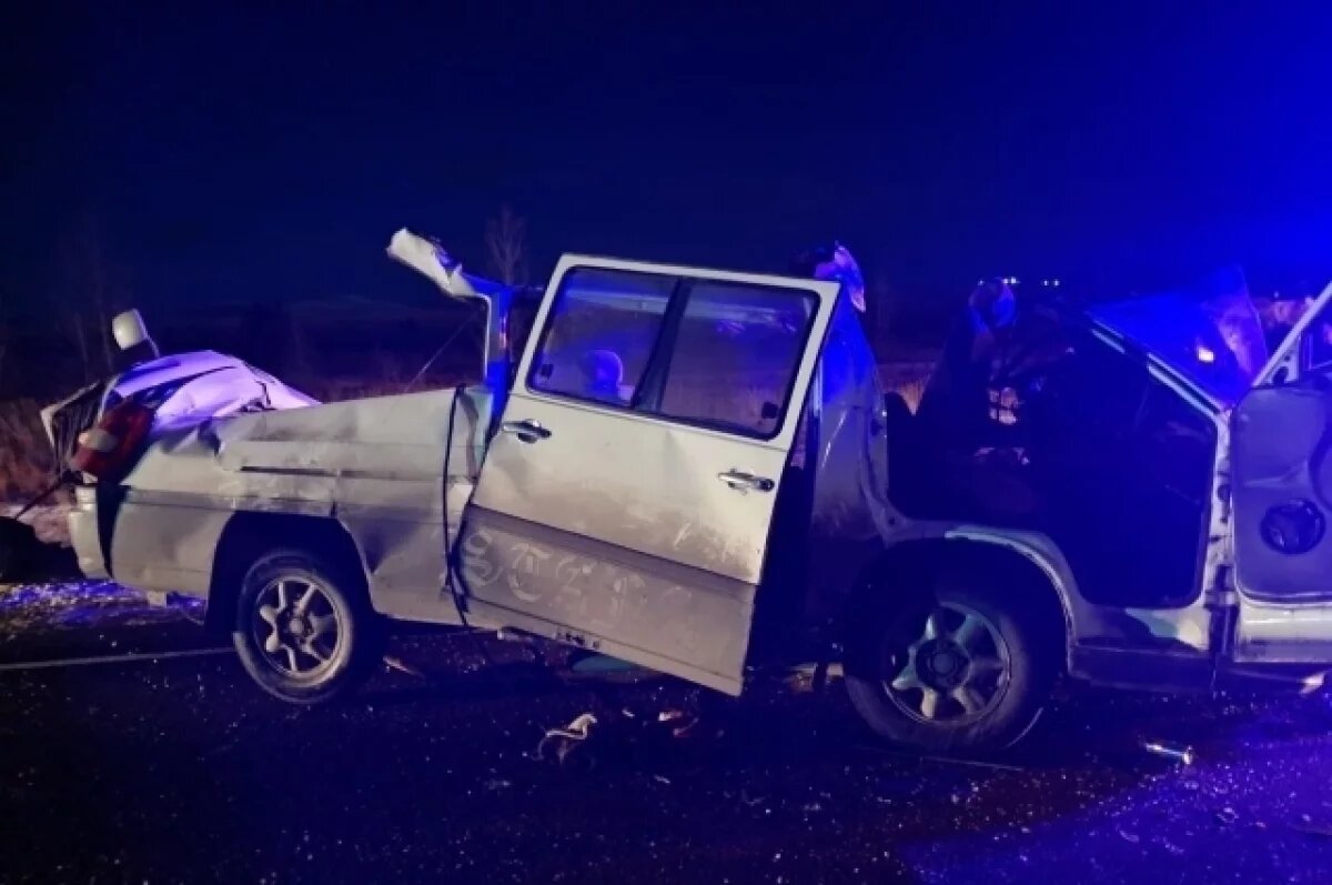    Уголовное дело возбудили по ДТП с пятью погибшими под Читой