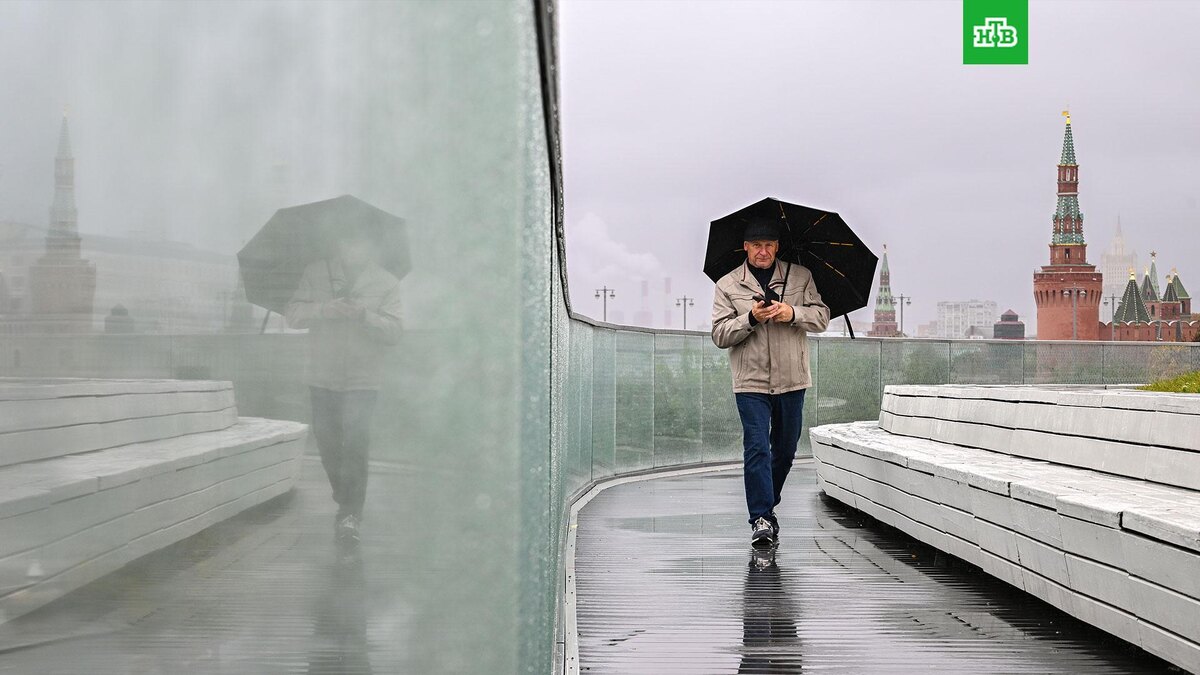    Фото: РИА Новости © 2025, Сергей Бобылев