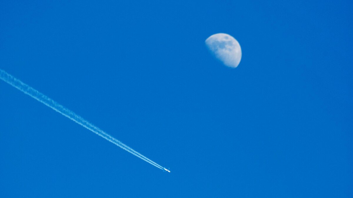    Фото: Alexander Legky/Global Look Press