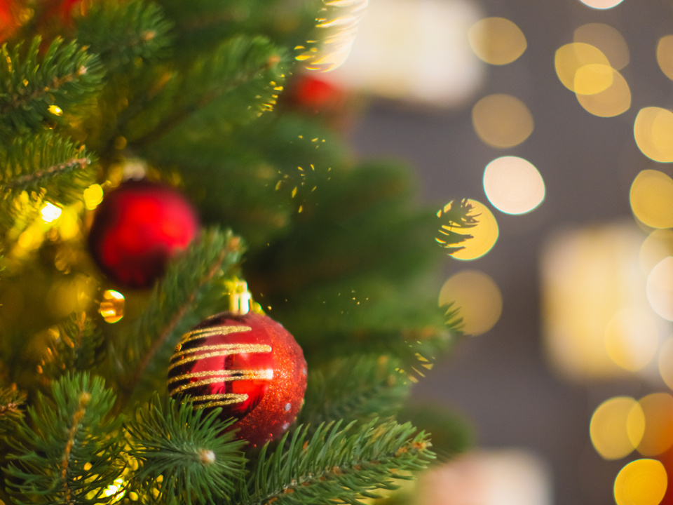    Фото: istockphoto.com/iiievgeniy