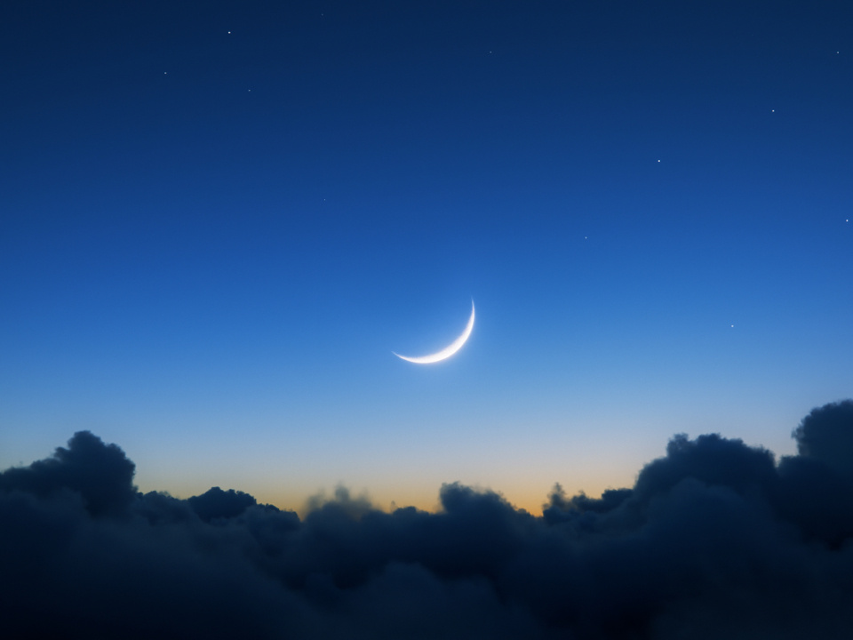     Фото: istockphoto.com/DKosig