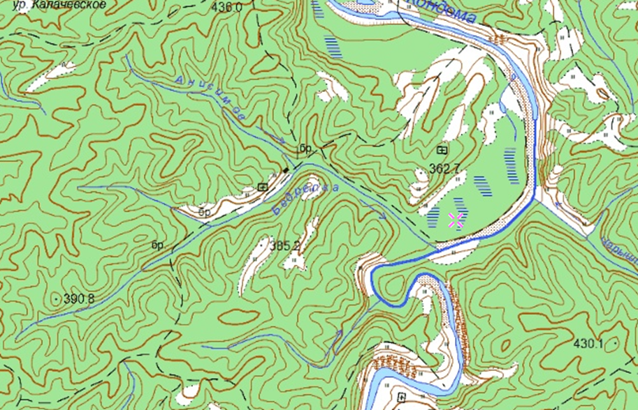 Ручей Анисимов. Фрагмент карты, 2001г.