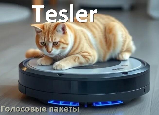 
Голосовые языковые пакеты для робота пылесоса Tesler скачать русскую озвучку