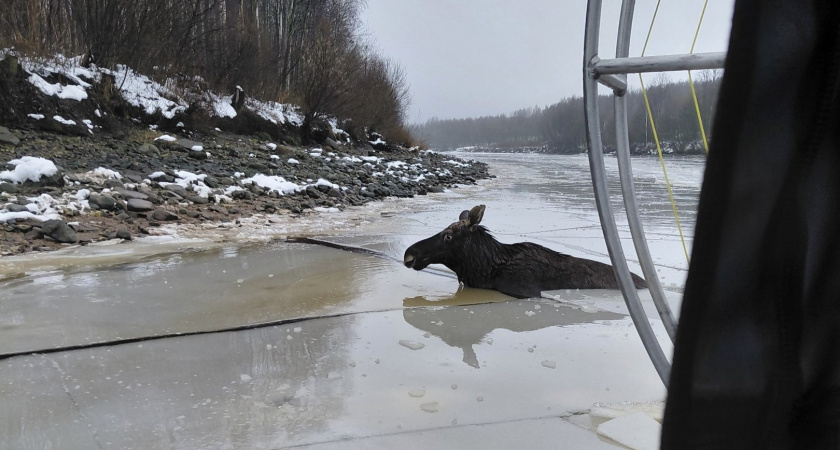    Фотоархив редакции