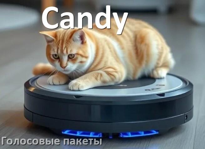 
Голосовые языковые пакеты для робота пылесоса Candy скачать русскую озвучку