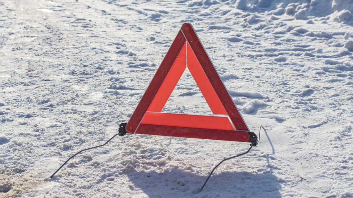    Фото: Siarhei Kuranets / Shutterstock / Fotodom