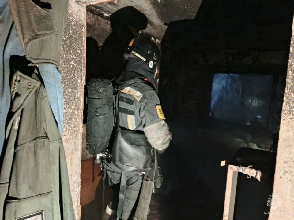    Пожар на Эмилии Алексеевой. Источник: ГУ МЧС России по Алтайскому краю