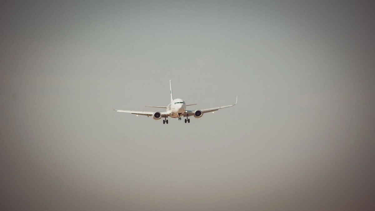     Источник: 1MI