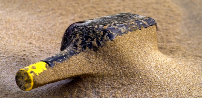 Чукотка жалуется Владимиру Путину на Wildberries