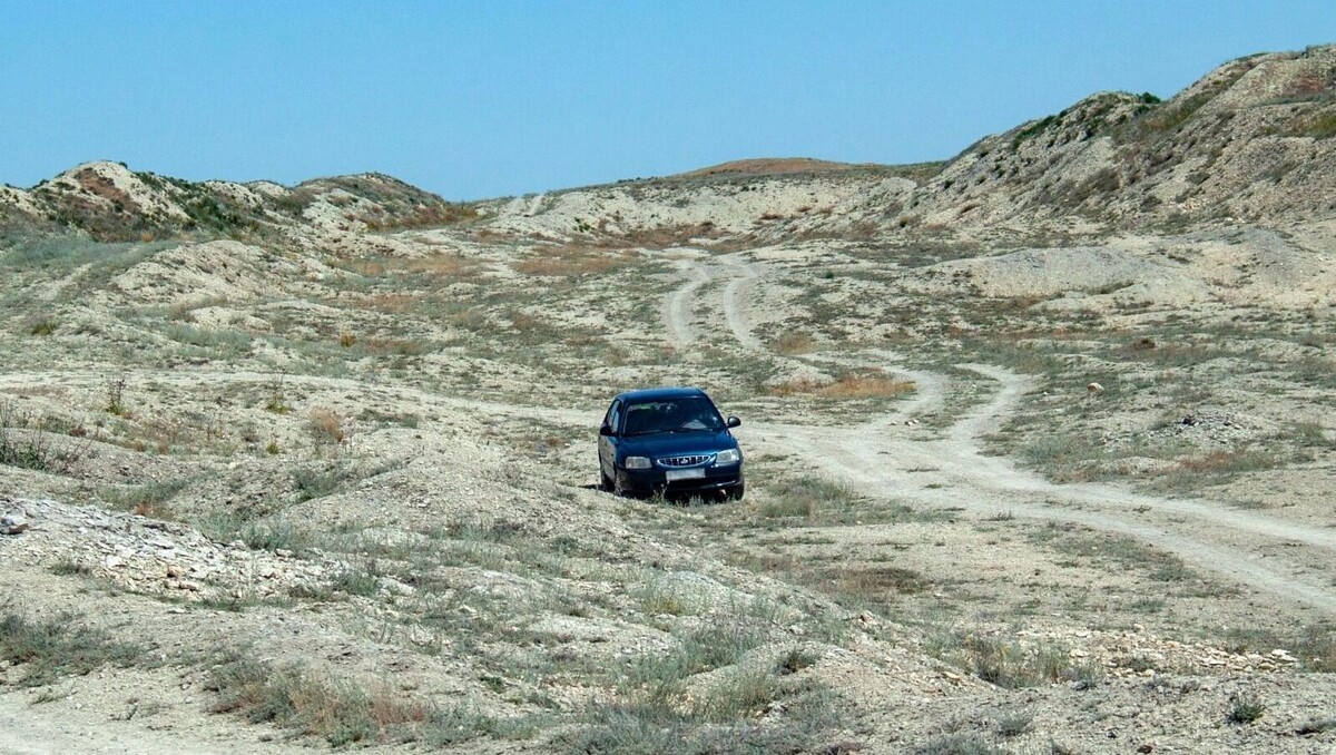     Источник: newsnn.ru