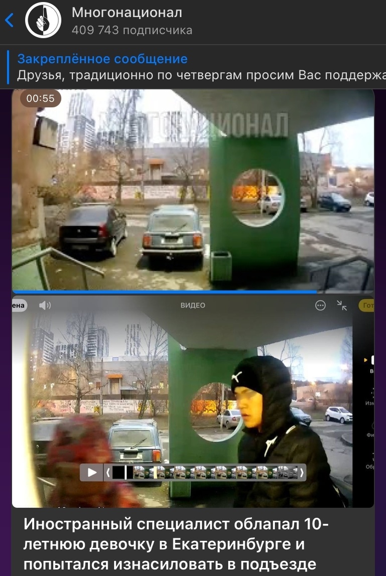    Скриншот: t.me/mnogonazi/28254