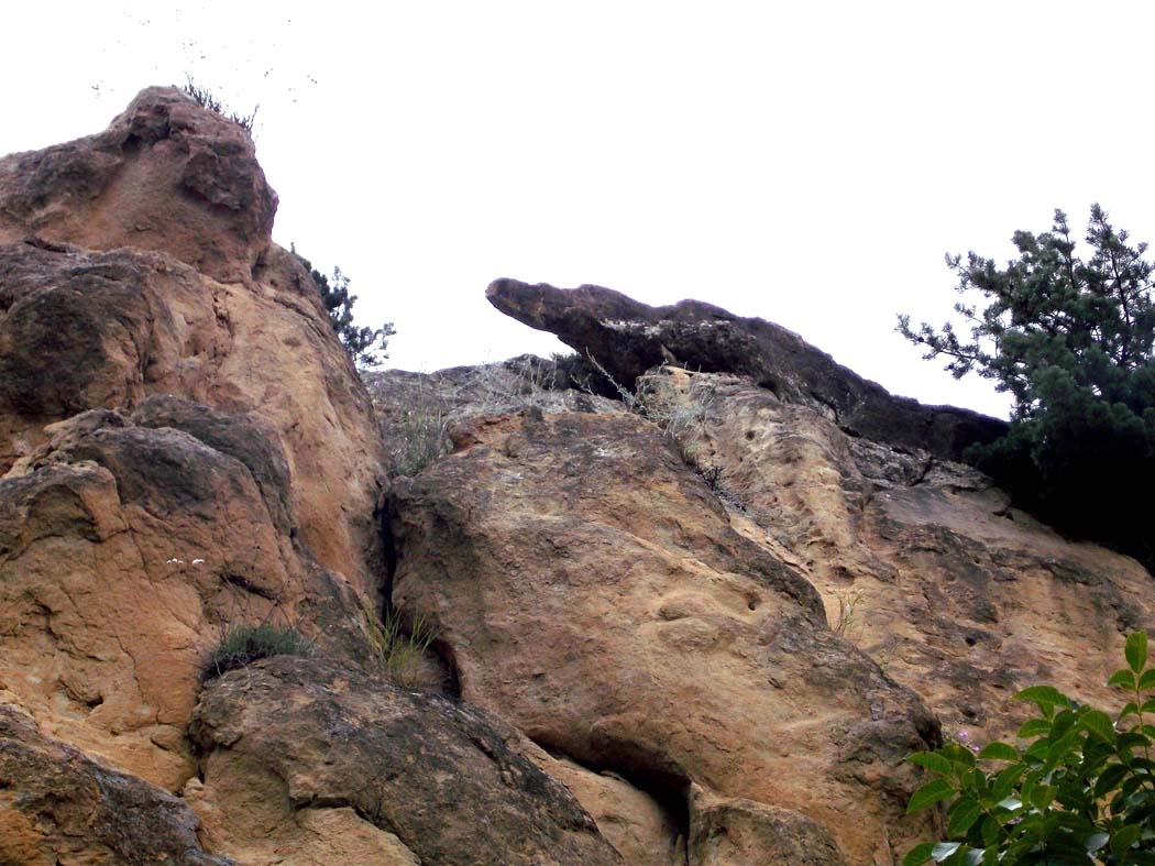 Скала "Крокодил" (Кисловодск, гора Кольцо)