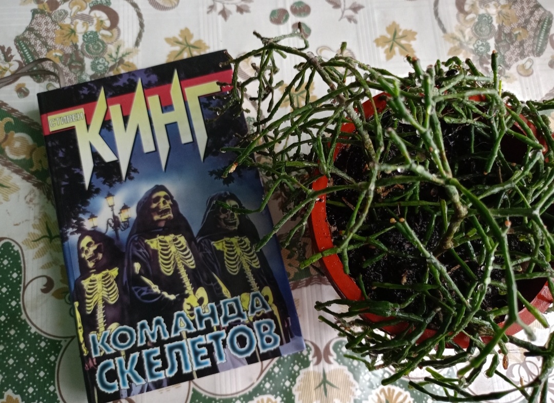 Фото автора.