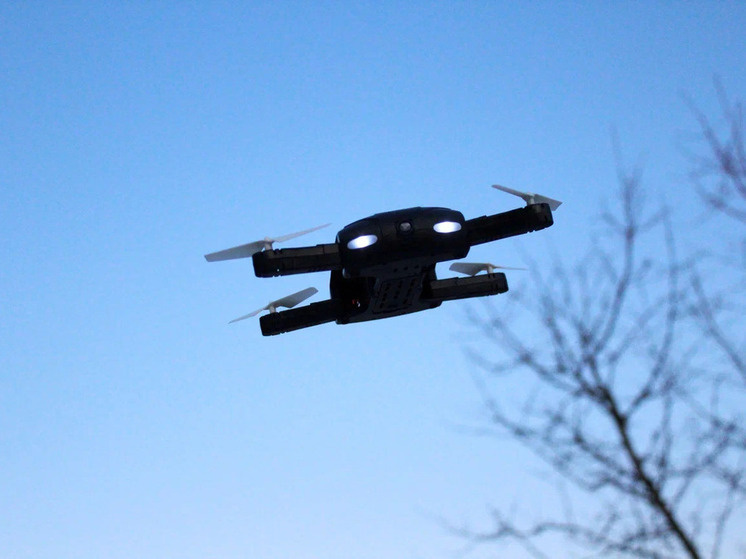     Фото: МК в Черноземье