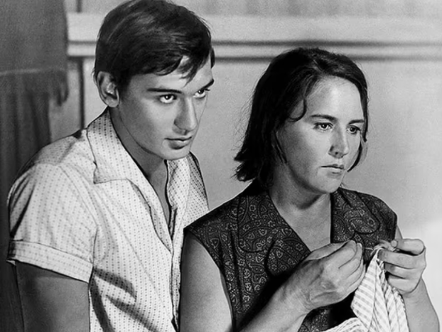 Фото из открытых источников